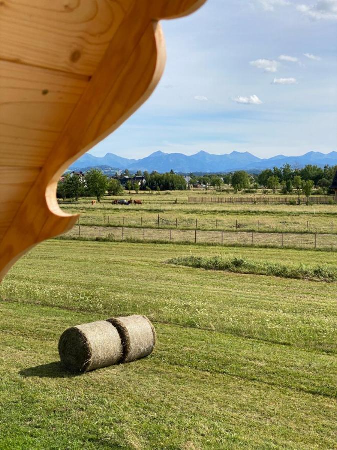 Goralskie Domki U Topora Czarny Dunajec Exterior foto